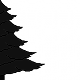 Electric Xmas in the Window Electric Xmas in the Window